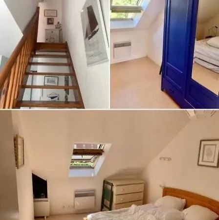 A 100m De La 波尔尼谢